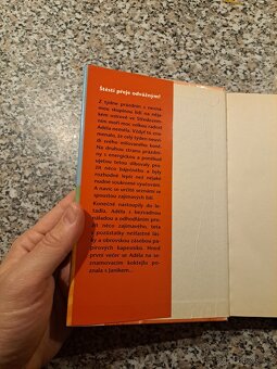Láska se zakazuje - Sissi Flegelová - 8