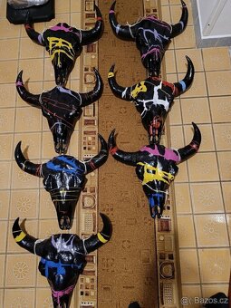 Lebka býka longhorn, bůvol, bizon - 8