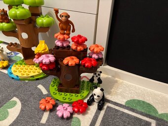 Lego duplo 10975 Divoká zvířata světa - 8