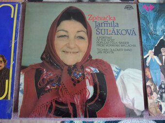 9x LP - GRAMOFONOVÁ DESKA - COUNTRY, FOLK, POP, ROCK... - 8