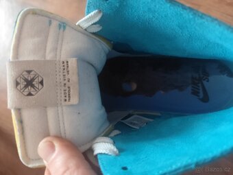 nike sb di'orr greenwood - 8