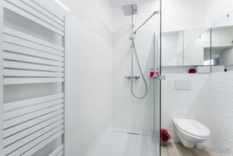 Albrechtice nad Orlicí, kompletně vybaveno - 8