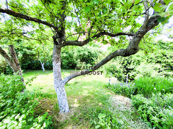 Prodej domu 81m² s pozemkem 330 m² - 8