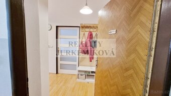 Útulný byt 1+1 po rekonstrukci v Riegrově ulici - 8