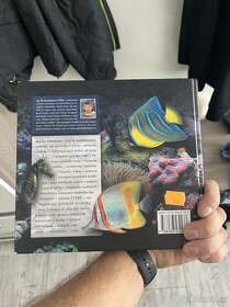 Technika Proudová čerpadla Maxspect Gyre - 8
