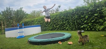 Trampolína do země 240cm - 8