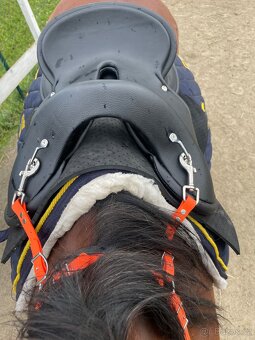 Endurance sedlo - 8