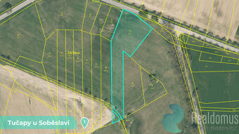 Zemědělská půda 11561 m² – Tučapy u Soběslavi, okres Tábor ( - 8