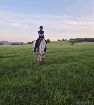 Kladrubská kobylka - 8