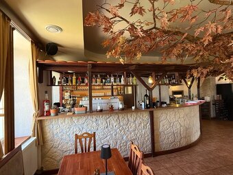 Vybavení restaurace - 8