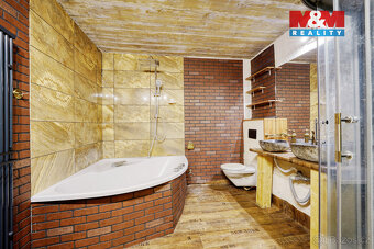 Prodej rodinného domu, 316 m², Bor - 8