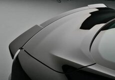 Křídlo Mustang Shelby ROUSH - 8