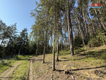 Prodej lesa, 23184 m², Milešov - 8
