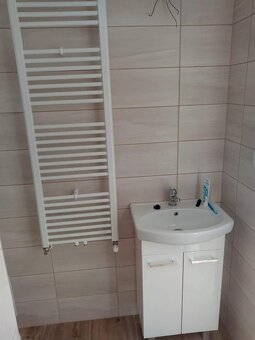 Malý domeček k pronajmu - 8