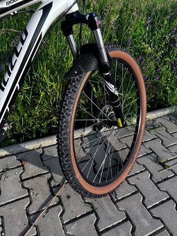 Specialized Rockhoper - 8
