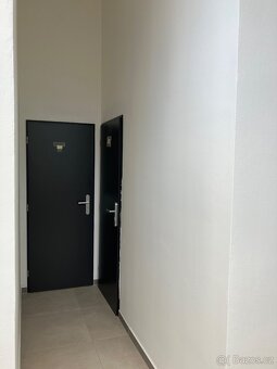 Pronájem bytu 1kk - 46m2 - garážové stání - sklep - 8