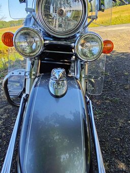 Suzuki Intruder C800 - 8