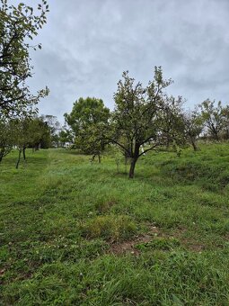 Zahrada ve lhotské Staré hoře - 8