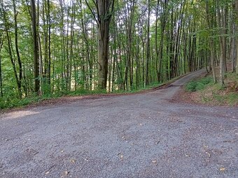 Prodej, stavební pozemek, 1587, Hynčina - 8