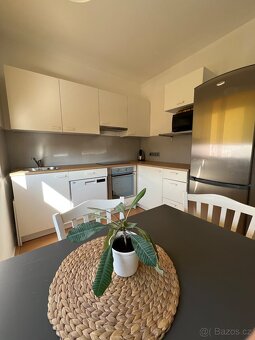 Pronájem bytu 1+1, 40 m2, Pardubice – Dubina. - 8