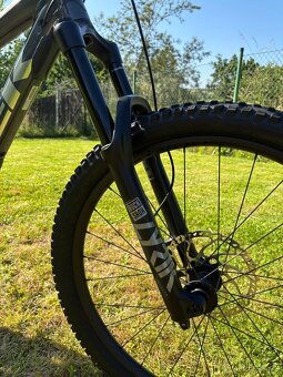 Trek Remedy 8 2022 - 8