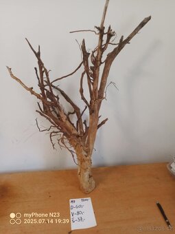 Bonsai kořeny do aquaria / Terraria - 8