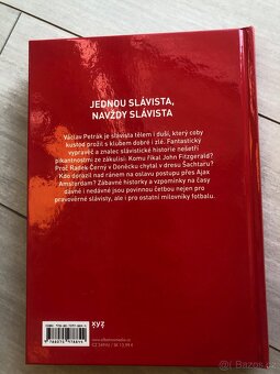 Kniha: Sešívané srdce - 8