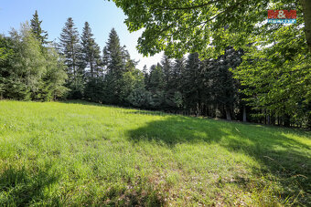 Prodej lesa, 15707 m², Petrovice u Sušice - 8