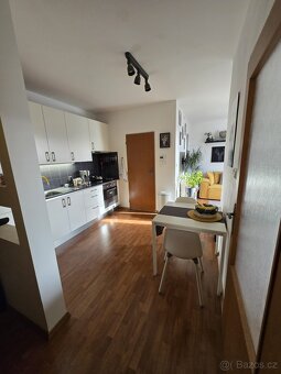 Pronájem bytu 2+kk s terasou - 45m2, Palmovka - 8