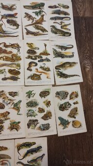 Koberův atlas plazů - 8