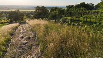 Strážnice - Pozemek s chatou a vinicí, krásné výhledy - 8