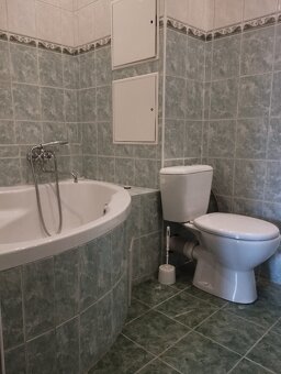 Pronájem 2+1 v Mostě, vybaveny, kousek od centra - 8