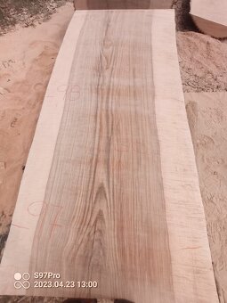 MEGA velké desky Jilm a Jasan - 8