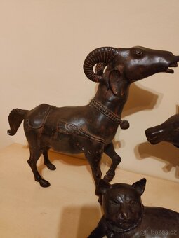 Ázijské zvieratá - 8