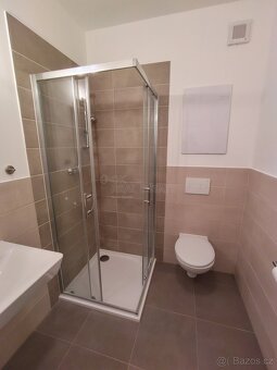 Pronájem bytu 2+kk Zbůch - 8