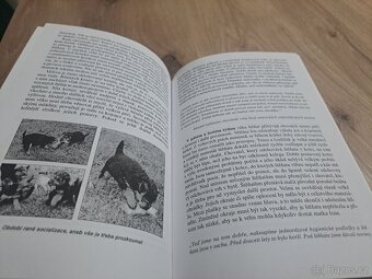 Malá škola pro chovatele psů , Tichá - 8