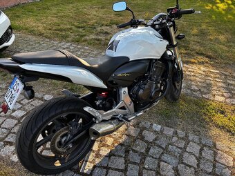 Honda Hornet CB 600F - 8