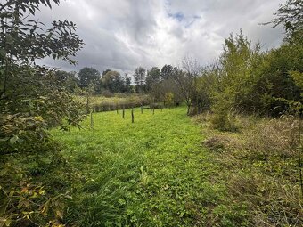 🌿 Prodej zahrady-sadu 1 872 m² – Soběchleby, okres Přerov - 8