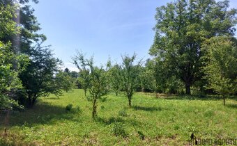 Prodej zahradních pozemků, celkem 5 961 m² , Rajhrad - 8