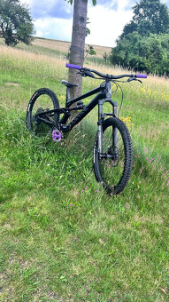 Canyon Torque - 8