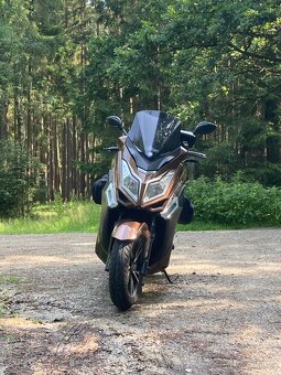 Kentoya Maximus 125 - 8