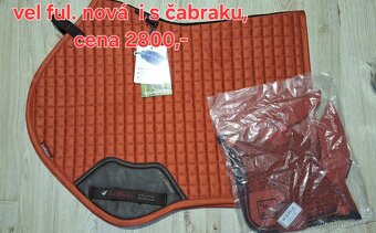 Podsedlovky Lemieux, Eskadron - 8