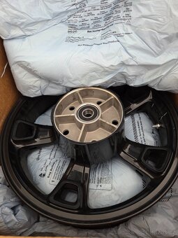 Indian scout anniversary 2020 - 8