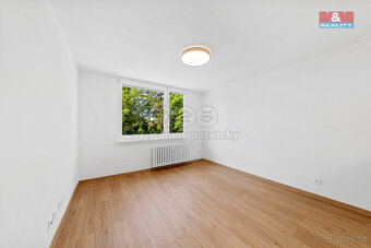 Prodej bytu 1+kk, 17 m², Děčín, ul. Rakovnická - 8