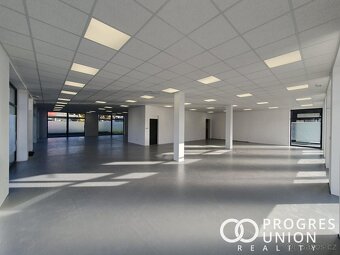 Pronájem obchodních, kancelářských  prostorů 300m2 - 8