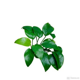 Akvárium / Akvárko / aquarium 112l a stojan - 8