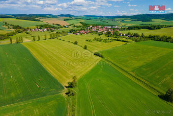 Prodej louky, 2373 m², Blížejov - 8