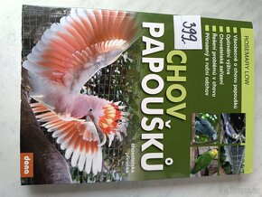 Papoušek ptáci dravci - 8