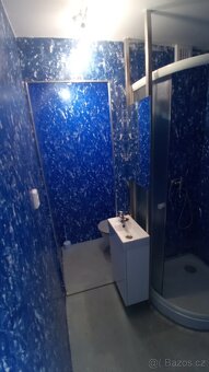 Pronajmu byt v Hostinném - 8