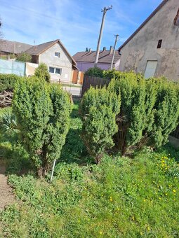 Prodáme rod.dům - 8